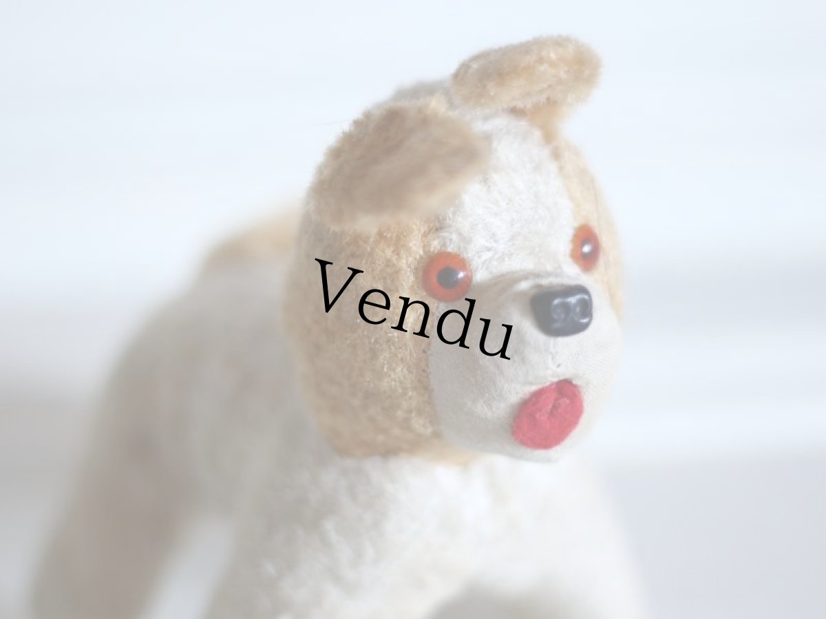 画像10: RARE!!Antique French Dog / France (10)