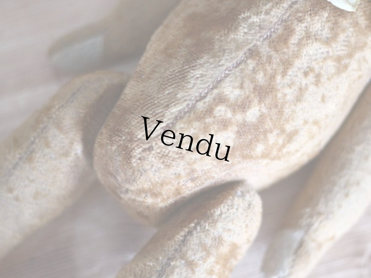 画像10: Le Jouet Paris Massy/J.P.M. Bear/size 45cm/France (10)