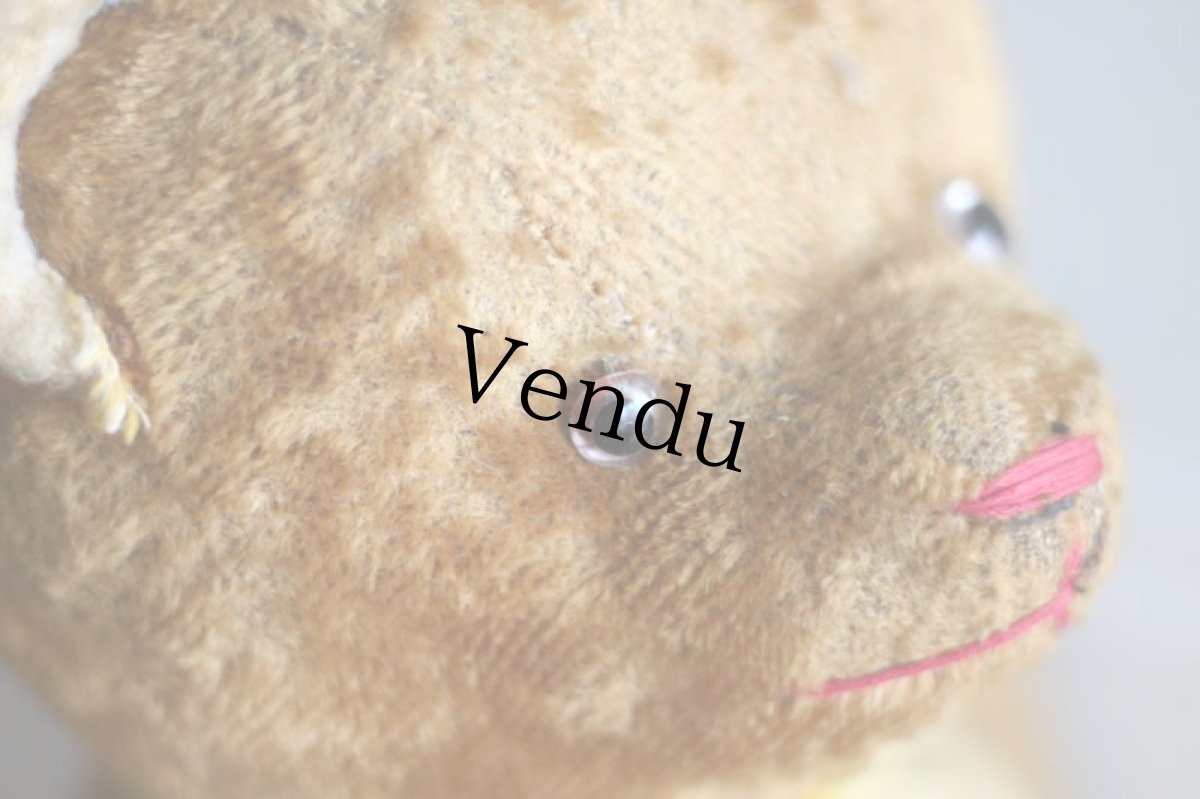 画像12: Le Jouet Paris Massy/J.P.M. Bear/size 45cm/France (12)