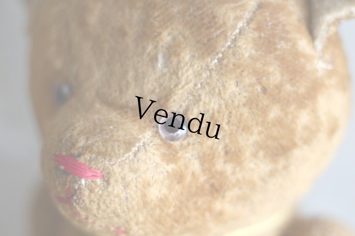 画像13: Le Jouet Paris Massy/J.P.M. Bear/size 45cm/France (13)