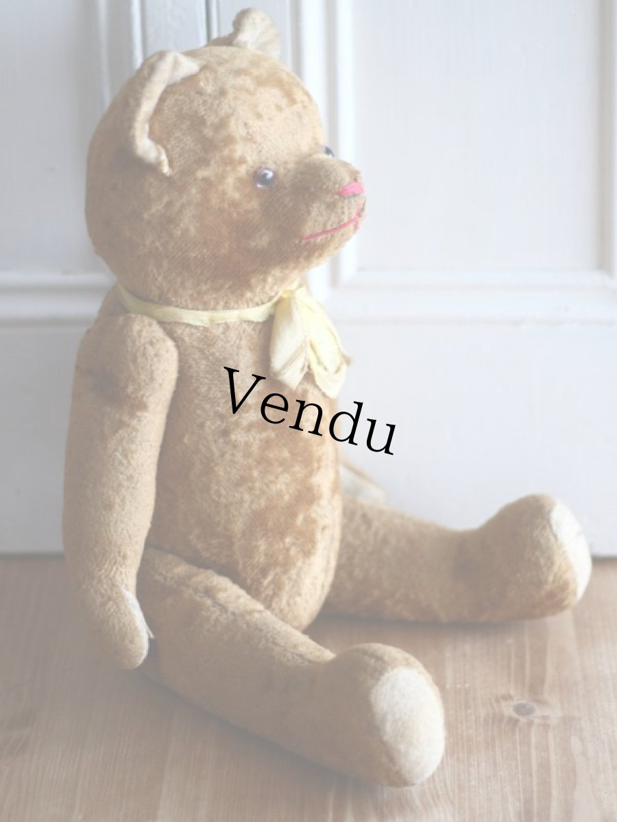 画像7: Le Jouet Paris Massy/J.P.M. Bear/size 45cm/France (7)