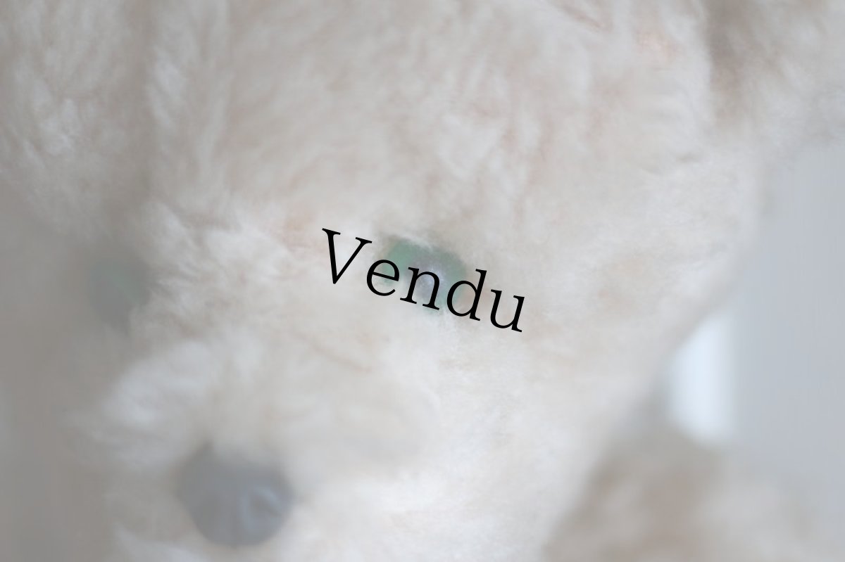 画像13: RARE!! Le Jouet Paris Massy J.P.M.社&Jan Jac社/size 45cm/France (13)