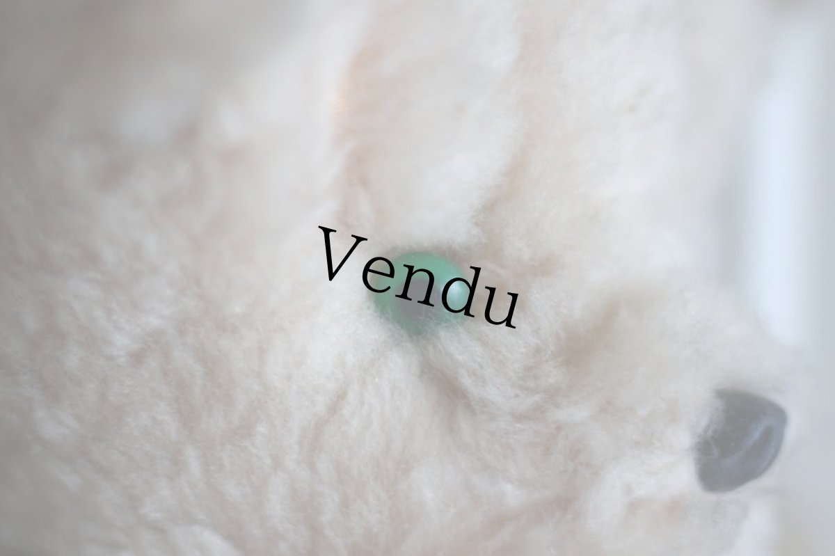 画像12: RARE!! Le Jouet Paris Massy J.P.M.社&Jan Jac社/size 45cm/France (12)