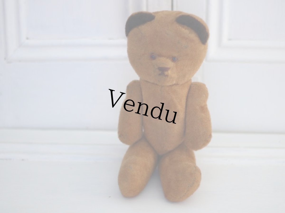 画像1: French Bear /France (1)