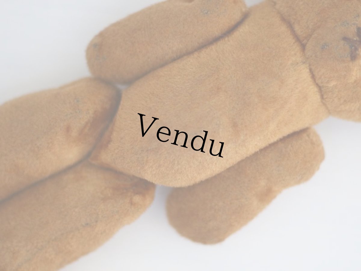 画像8: French Bear /France (8)