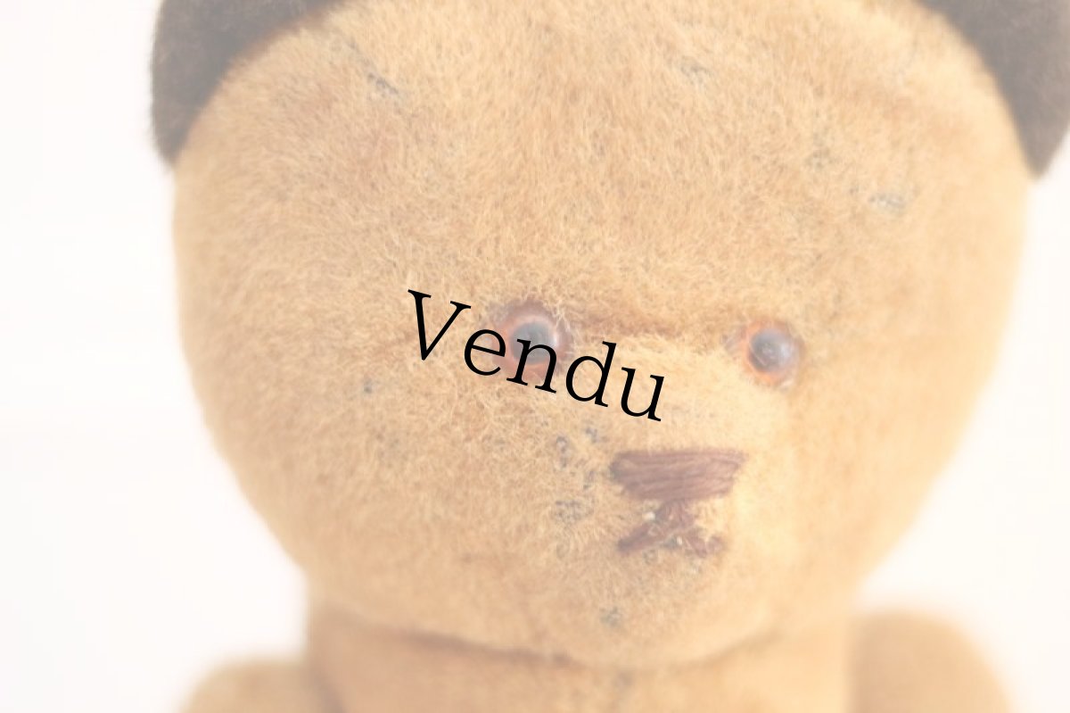 画像4: French Bear /France (4)