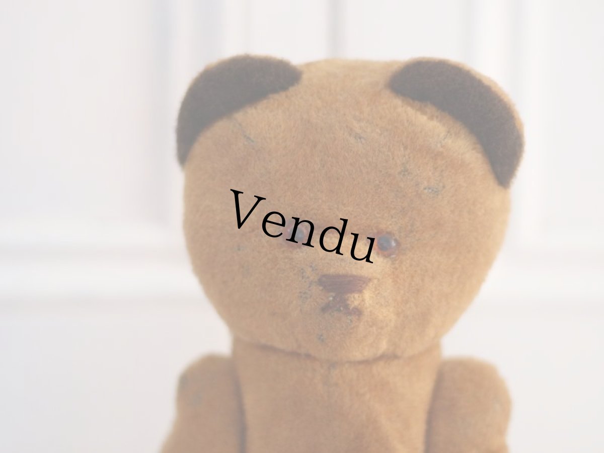 画像2: French Bear /France (2)