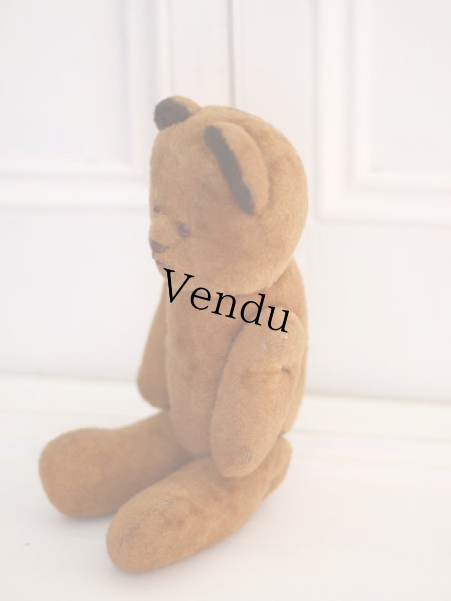 画像5: French Bear /France (5)