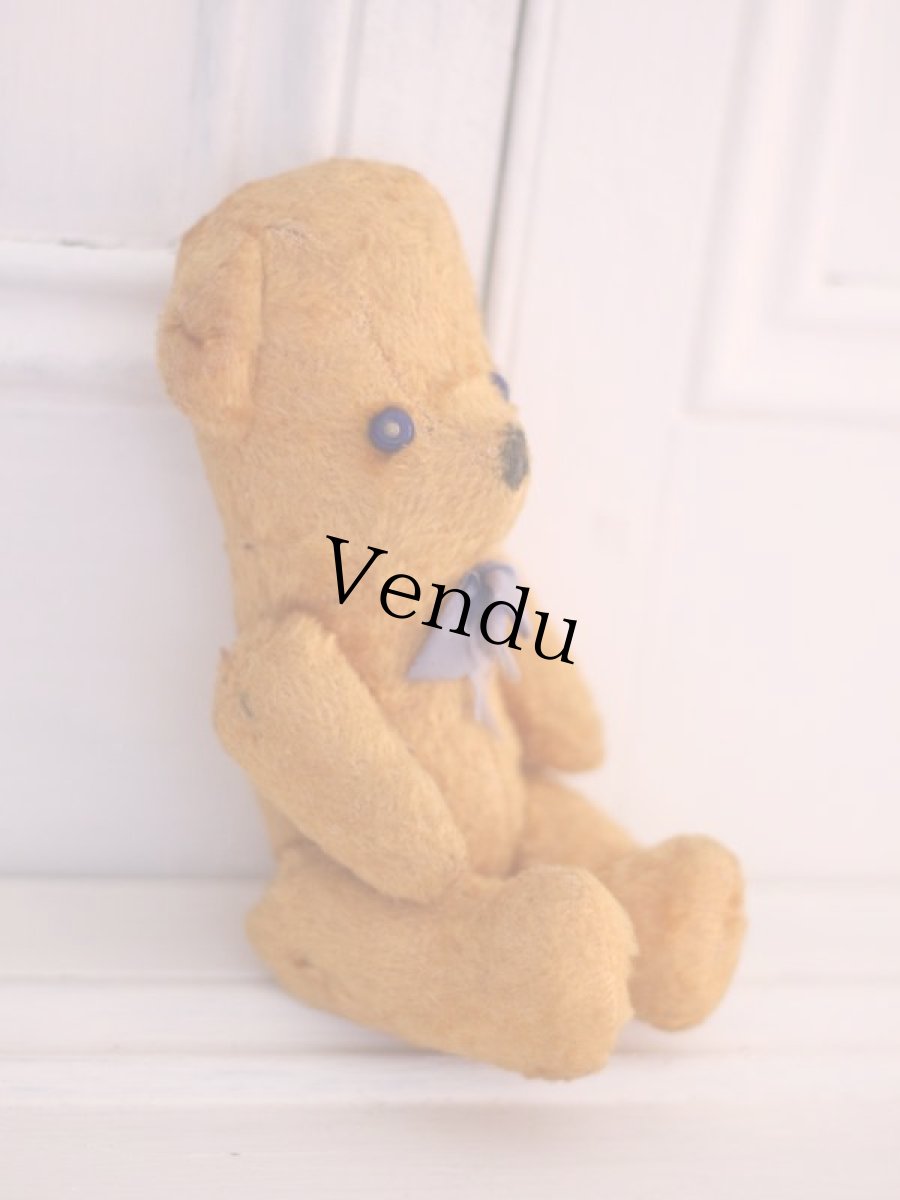 画像5: French Bear /France (5)