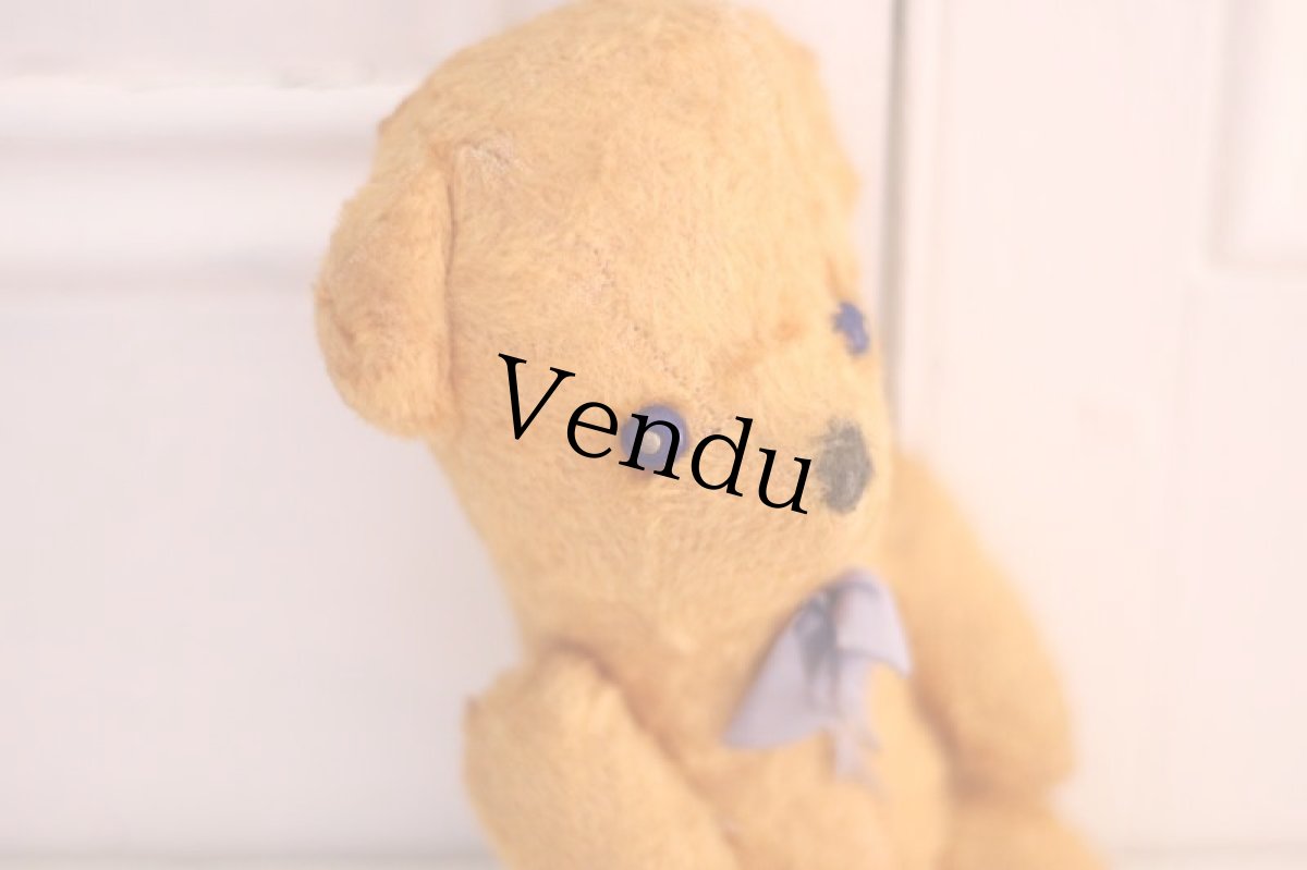 画像6: French Bear /France (6)