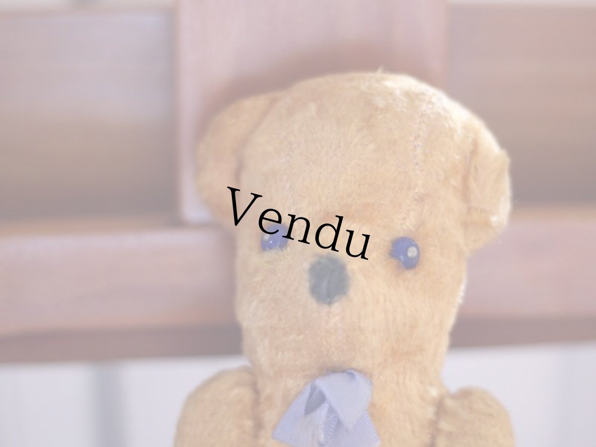 画像2: French Bear /France (2)