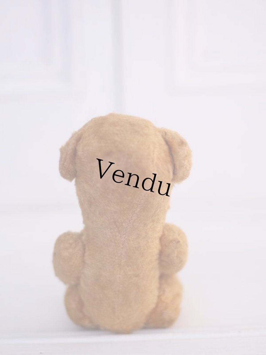 画像8: French Bear /France (8)