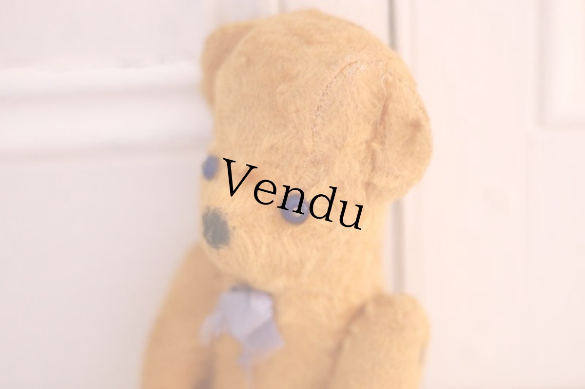 画像7: French Bear /France (7)