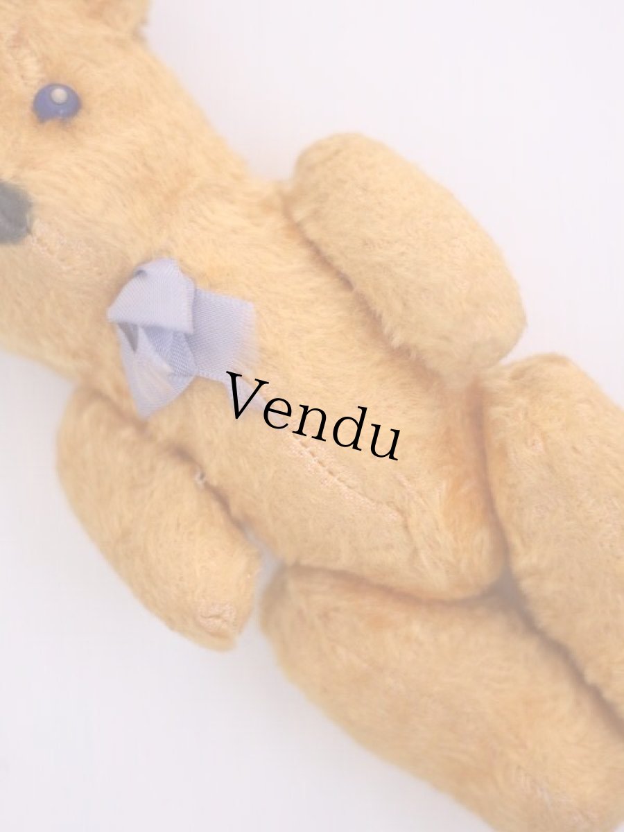 画像9: French Bear /France (9)