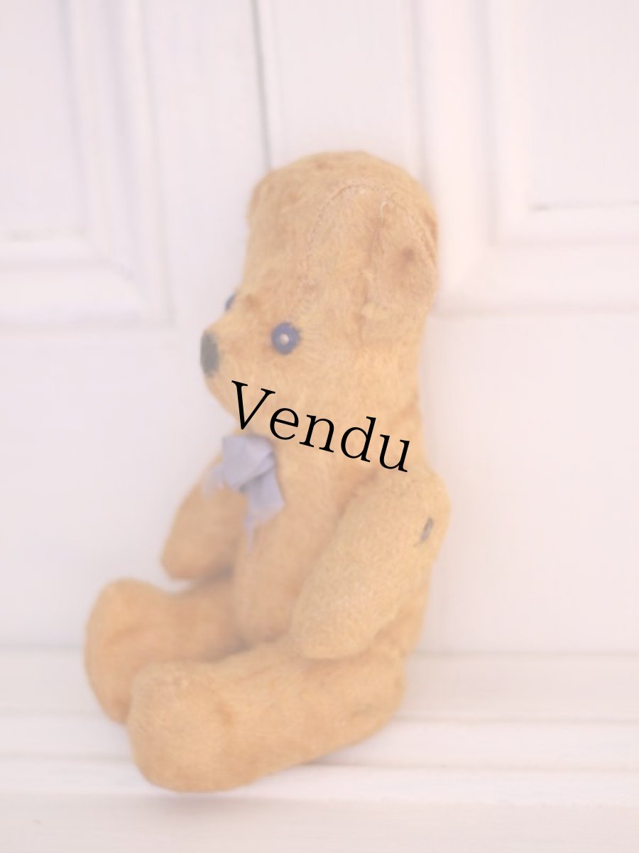 画像4: French Bear /France (4)