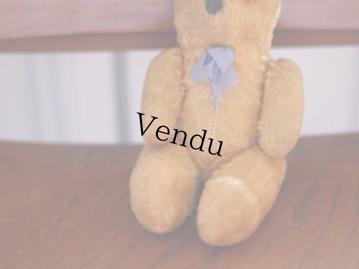 画像3: French Bear /France (3)