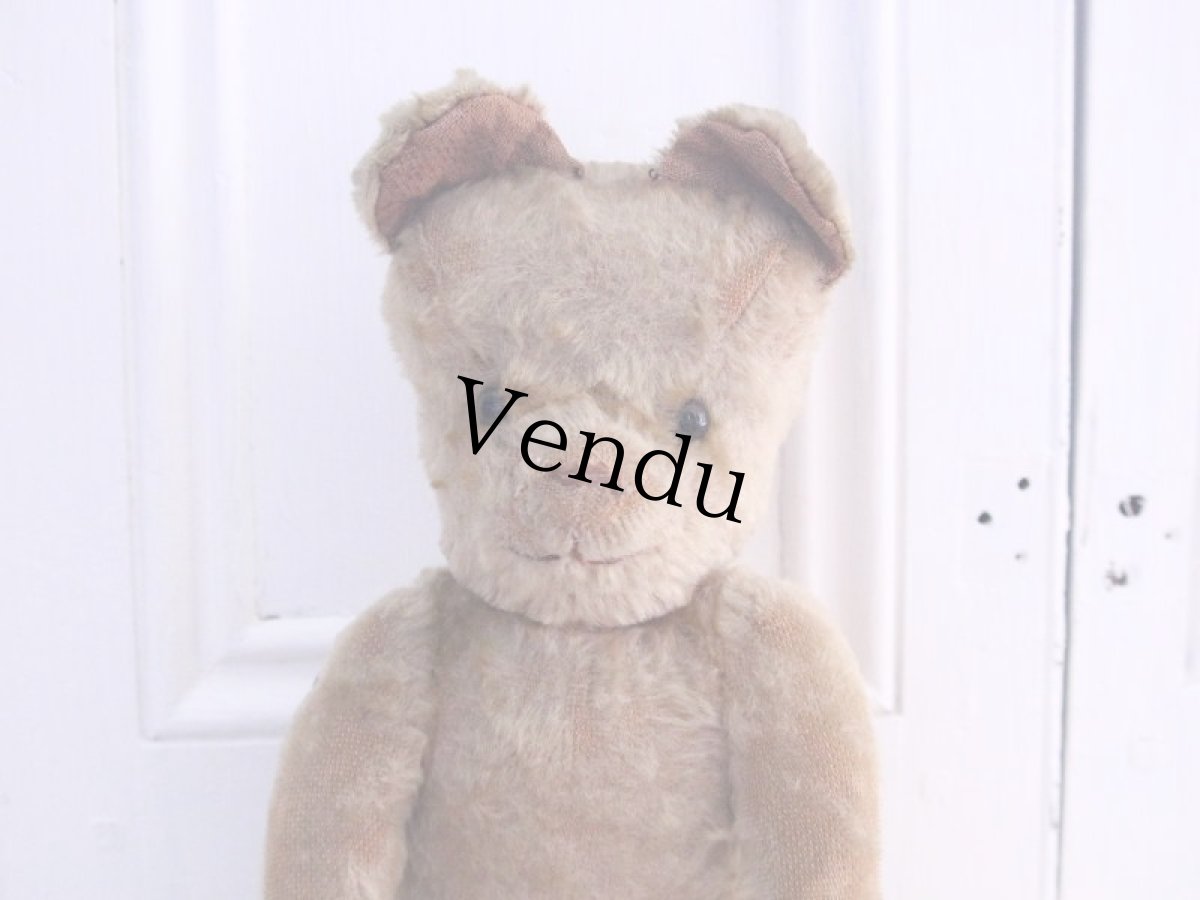 画像2: RARE!!! OLD JPM /Le Jouet Paris Massy/J.P.M. Bear/37cm/France (2)