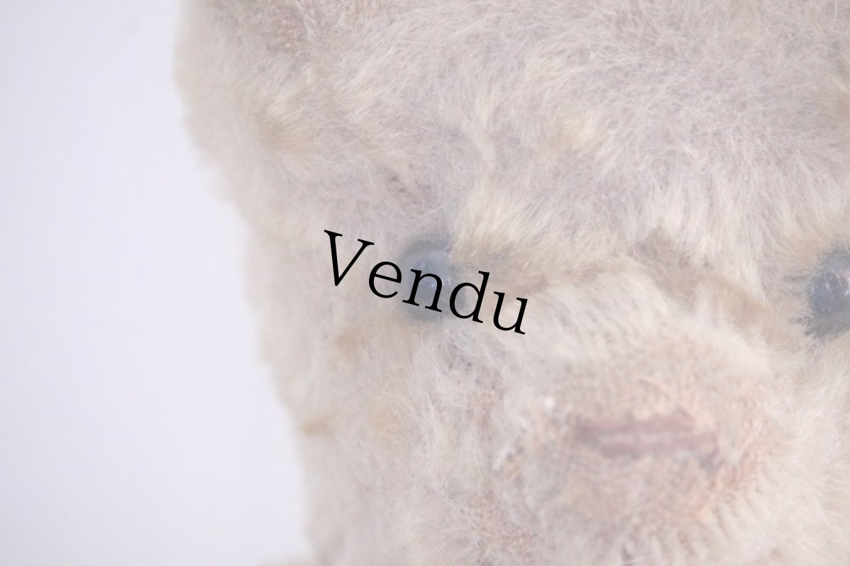 画像4: RARE!!! OLD JPM /Le Jouet Paris Massy/J.P.M. Bear/37cm/France (4)