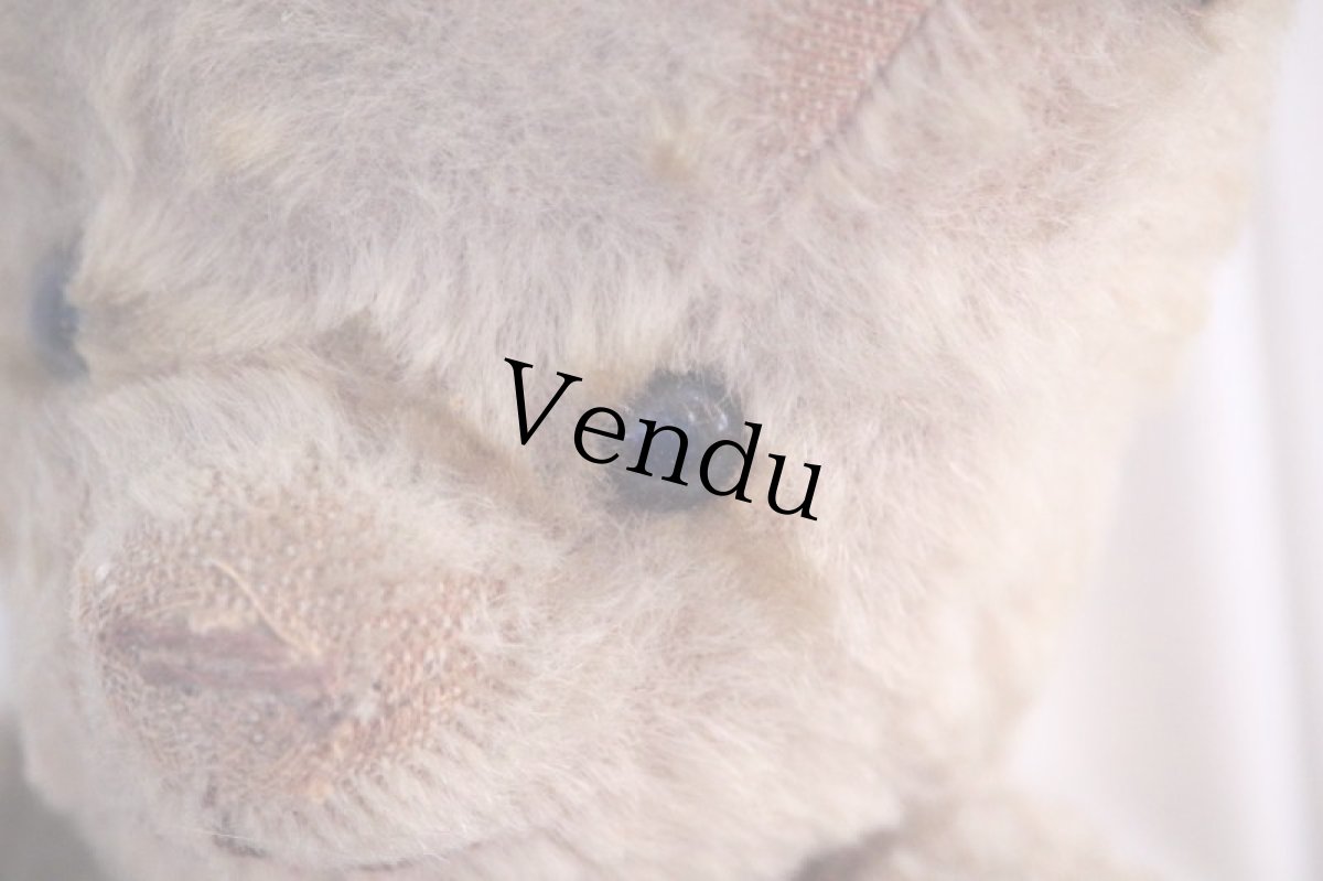 画像5: RARE!!! OLD JPM /Le Jouet Paris Massy/J.P.M. Bear/37cm/France (5)