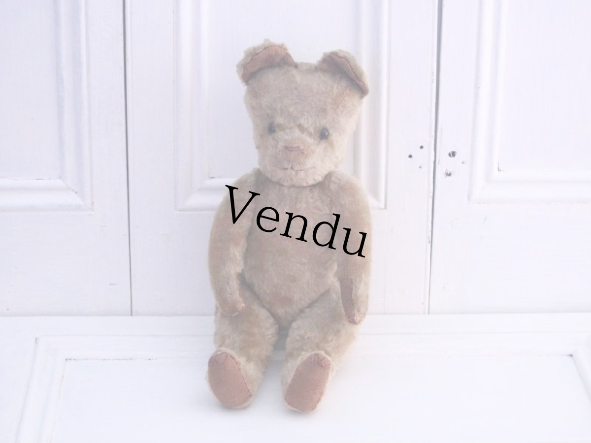 画像1: RARE!!! OLD JPM /Le Jouet Paris Massy/J.P.M. Bear/37cm/France (1)