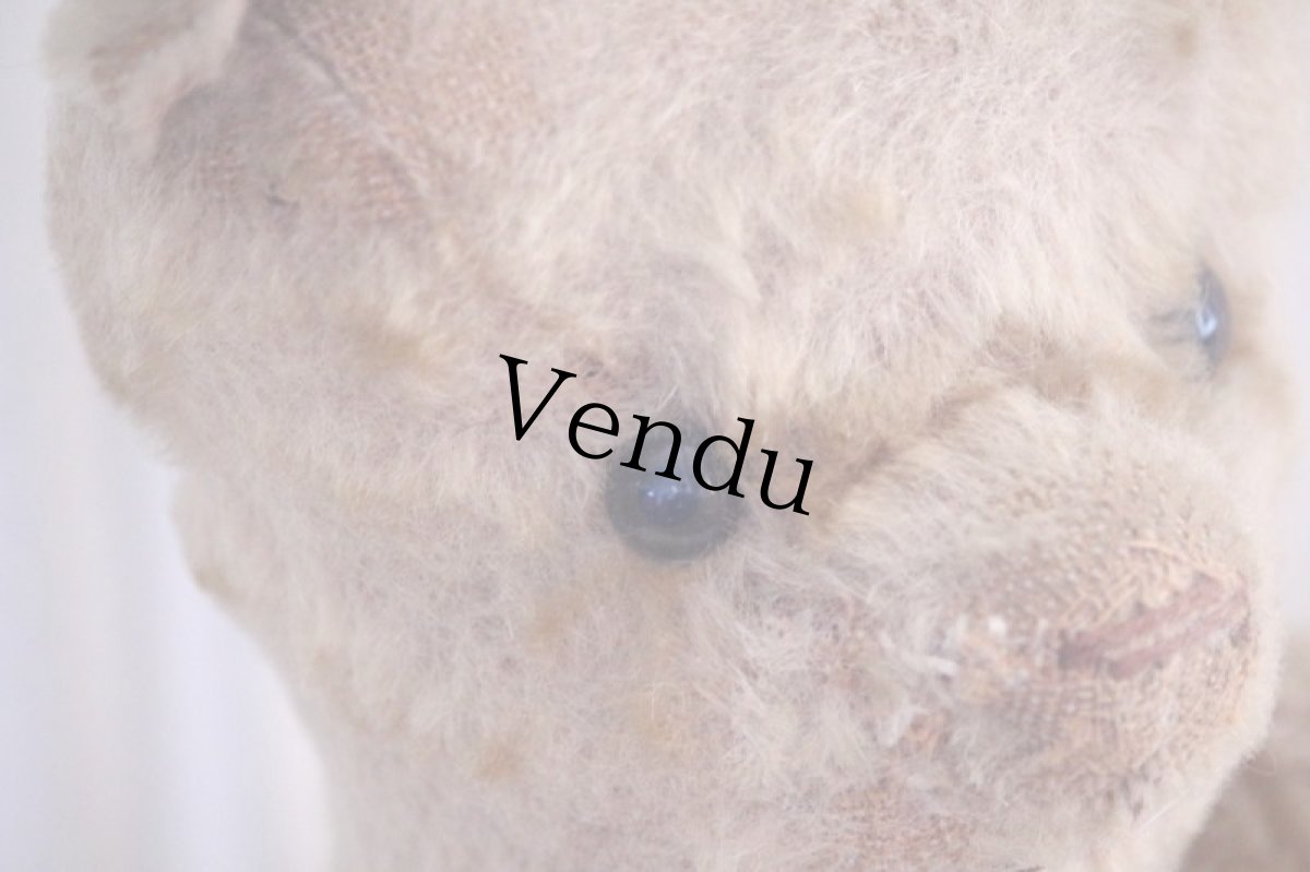 画像6: RARE!!! OLD JPM /Le Jouet Paris Massy/J.P.M. Bear/37cm/France (6)