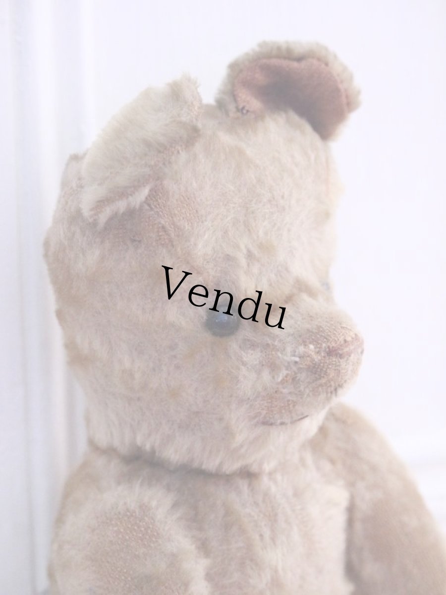 画像7: RARE!!! OLD JPM /Le Jouet Paris Massy/J.P.M. Bear/37cm/France (7)