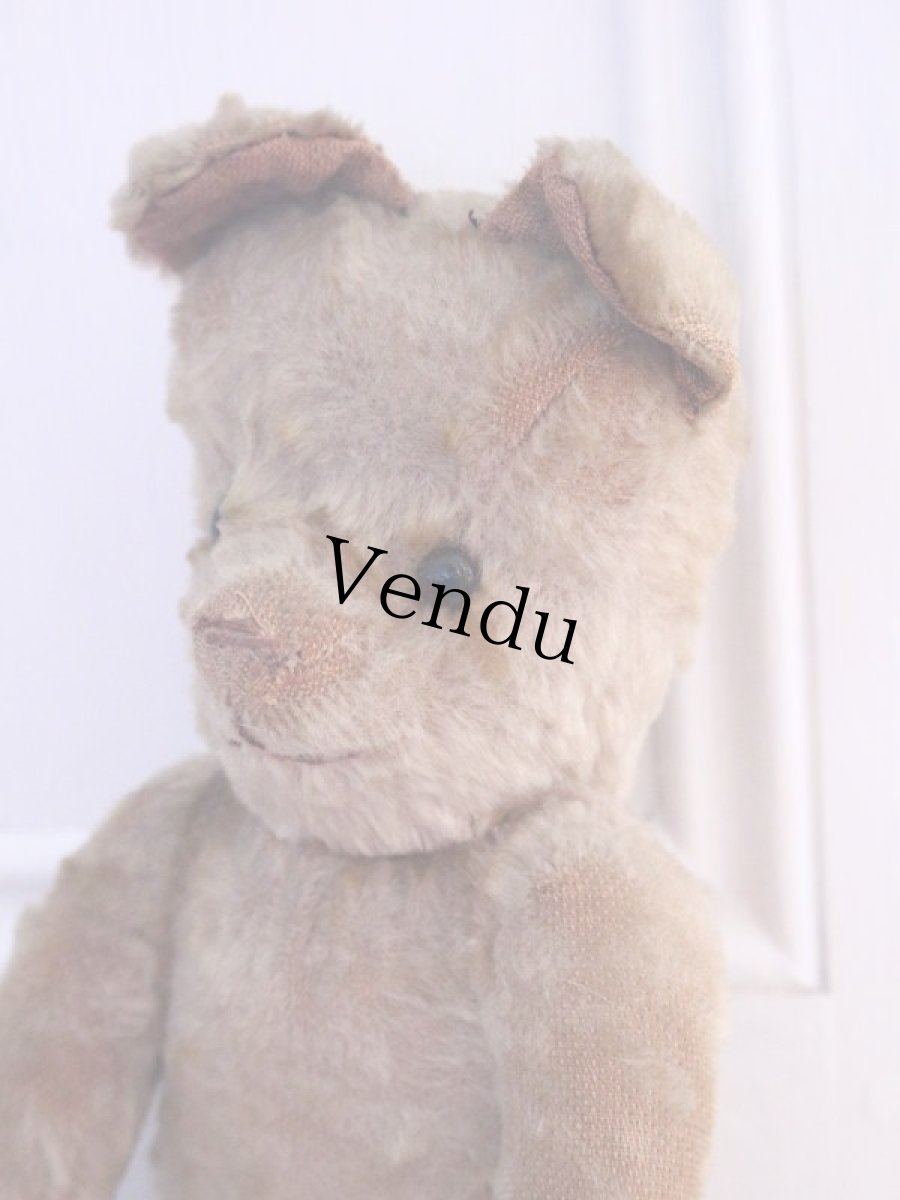 画像8: RARE!!! OLD JPM /Le Jouet Paris Massy/J.P.M. Bear/37cm/France (8)