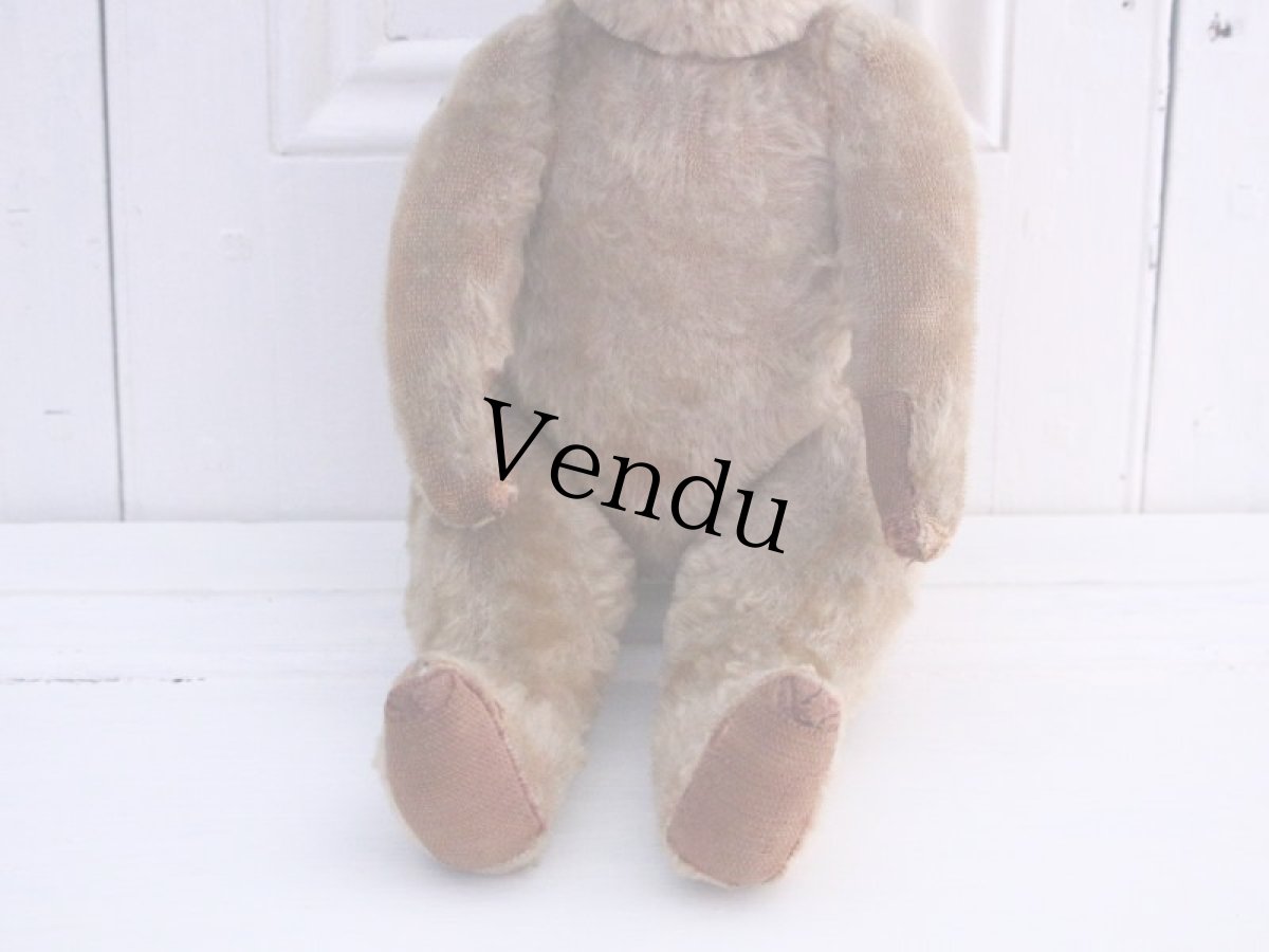 画像3: RARE!!! OLD JPM /Le Jouet Paris Massy/J.P.M. Bear/37cm/France (3)