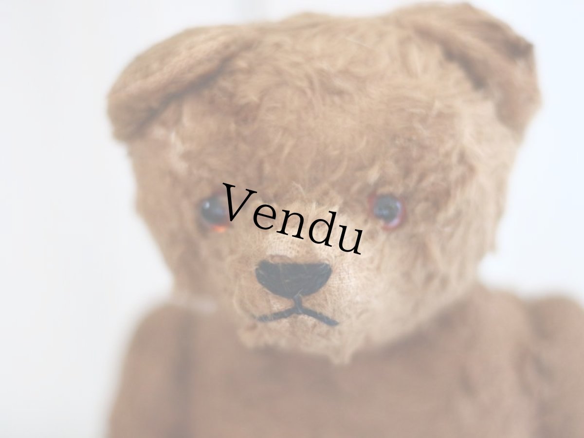 画像13: Petz Teddy Bear//Germany (13)
