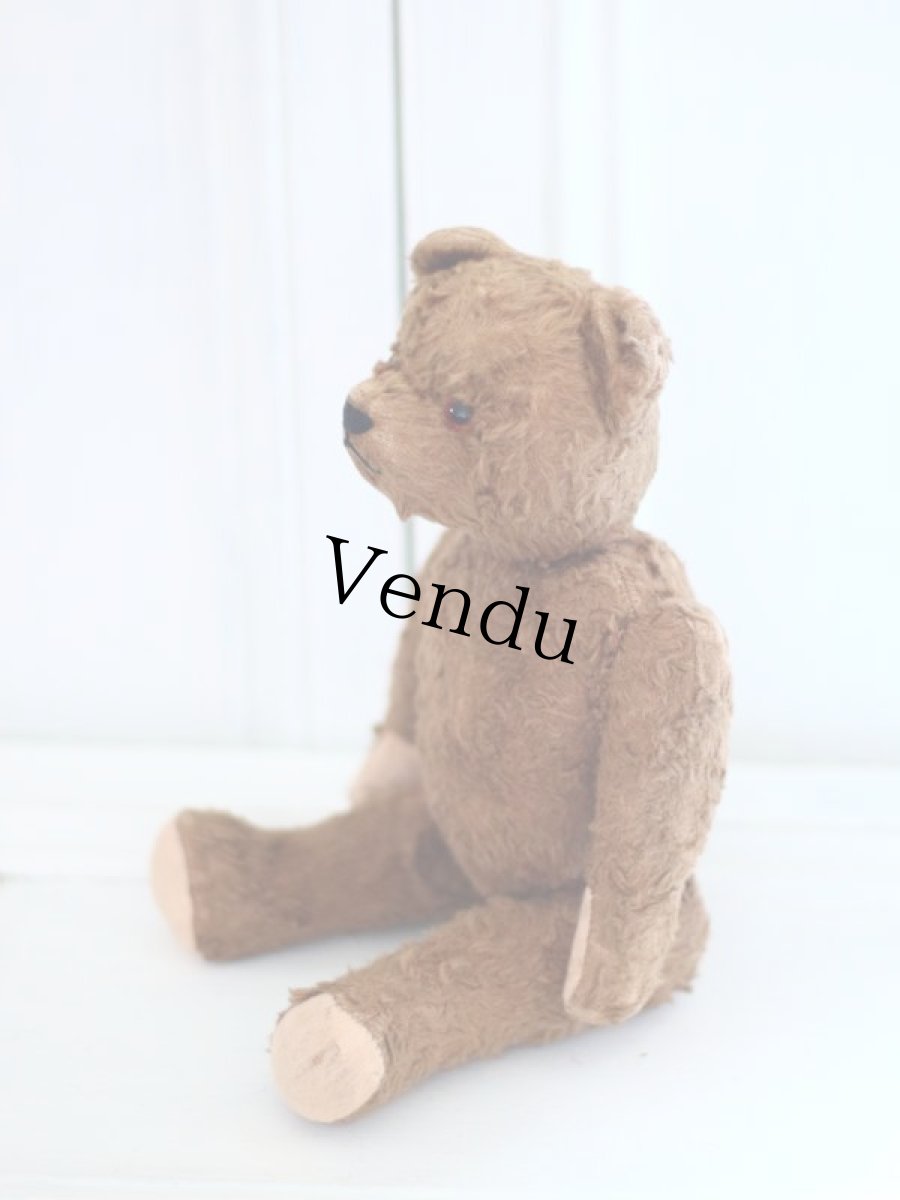 画像7: Petz Teddy Bear//Germany (7)