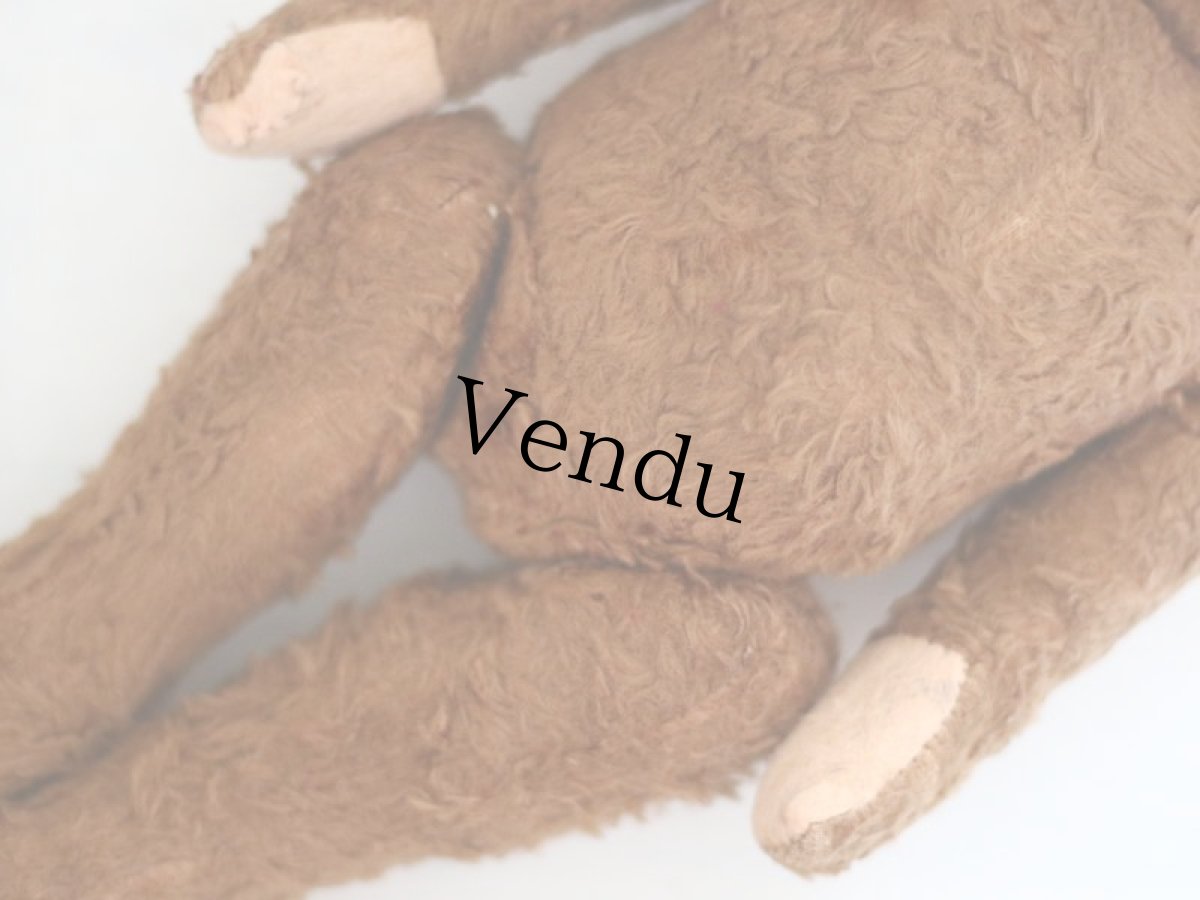 画像15: Petz Teddy Bear//Germany (15)