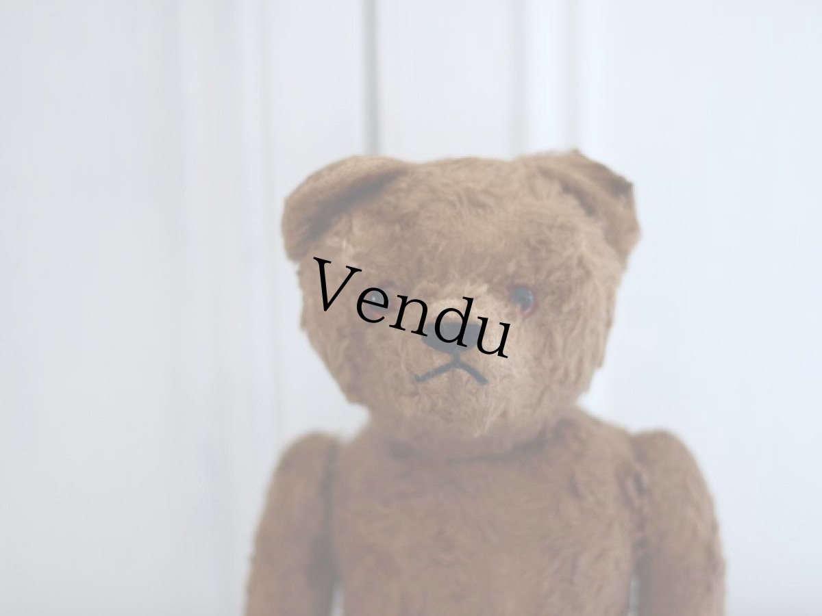 画像3: Petz Teddy Bear//Germany (3)