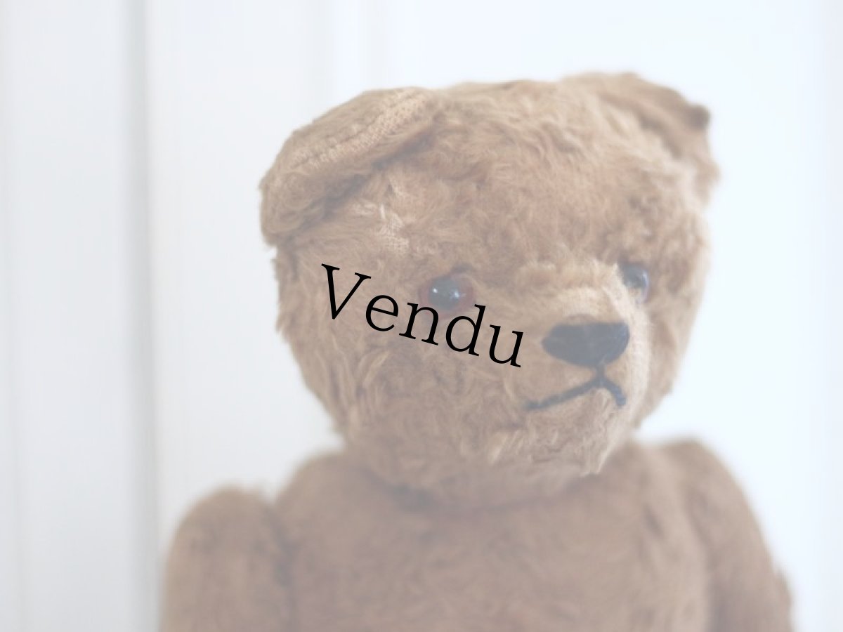 画像11: Petz Teddy Bear//Germany (11)