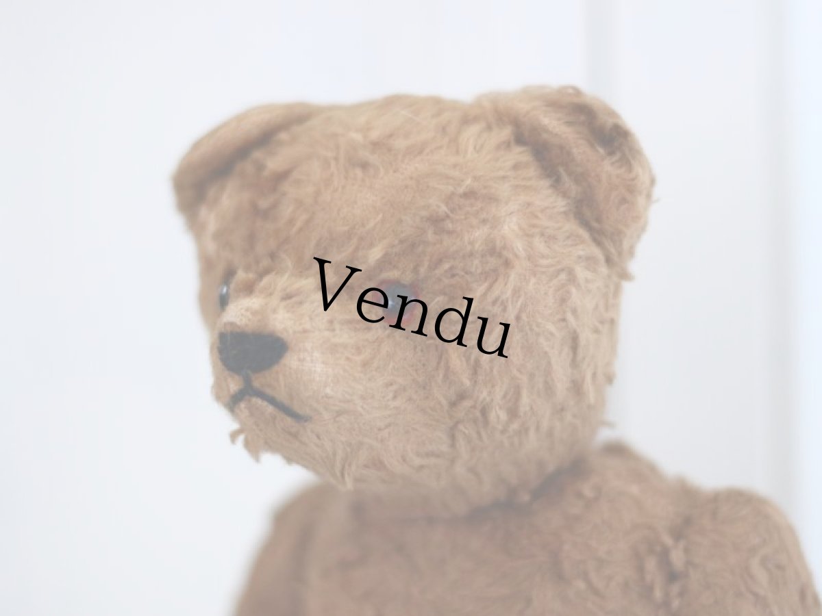 画像12: Petz Teddy Bear//Germany (12)