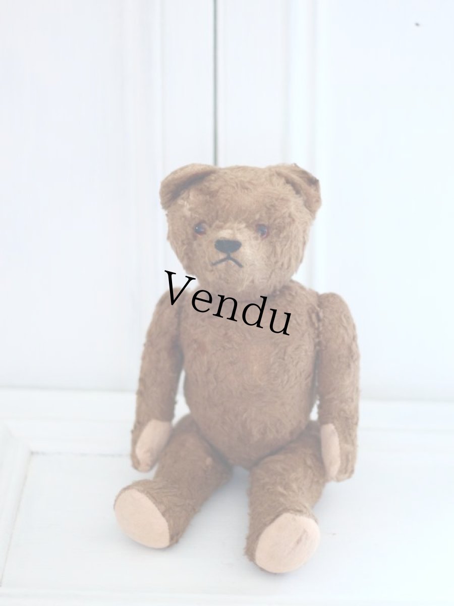 画像2: Petz Teddy Bear//Germany (2)