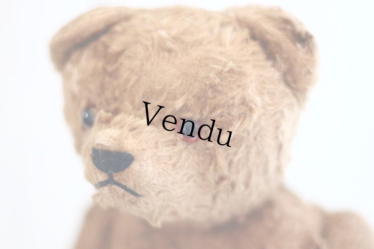 画像10: Petz Teddy Bear//Germany (10)