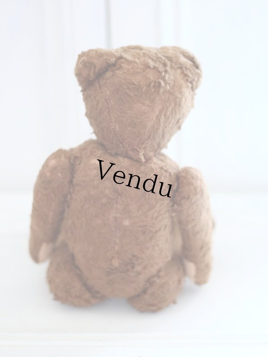 画像8: Petz Teddy Bear//Germany (8)