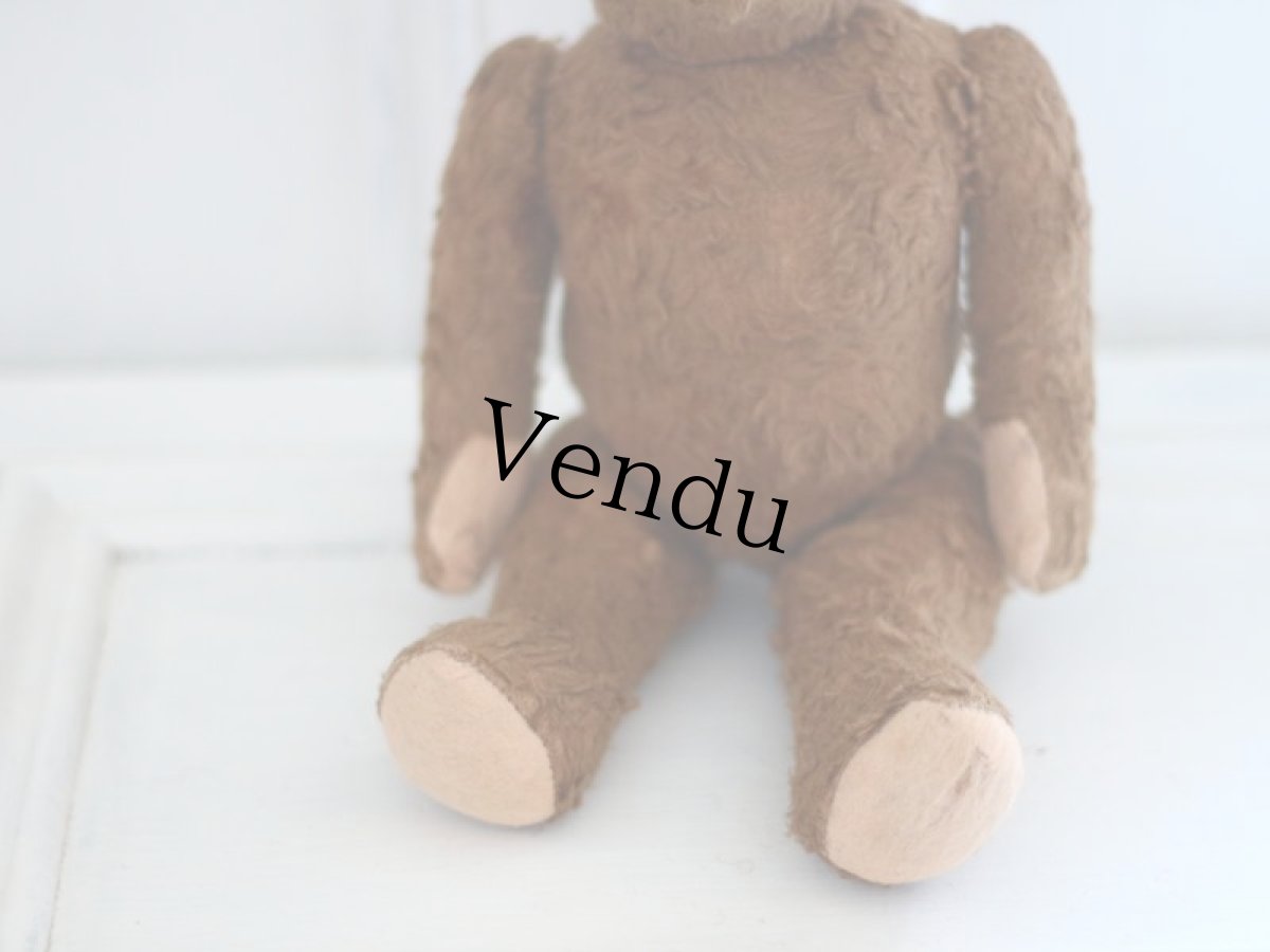 画像5: Petz Teddy Bear//Germany (5)