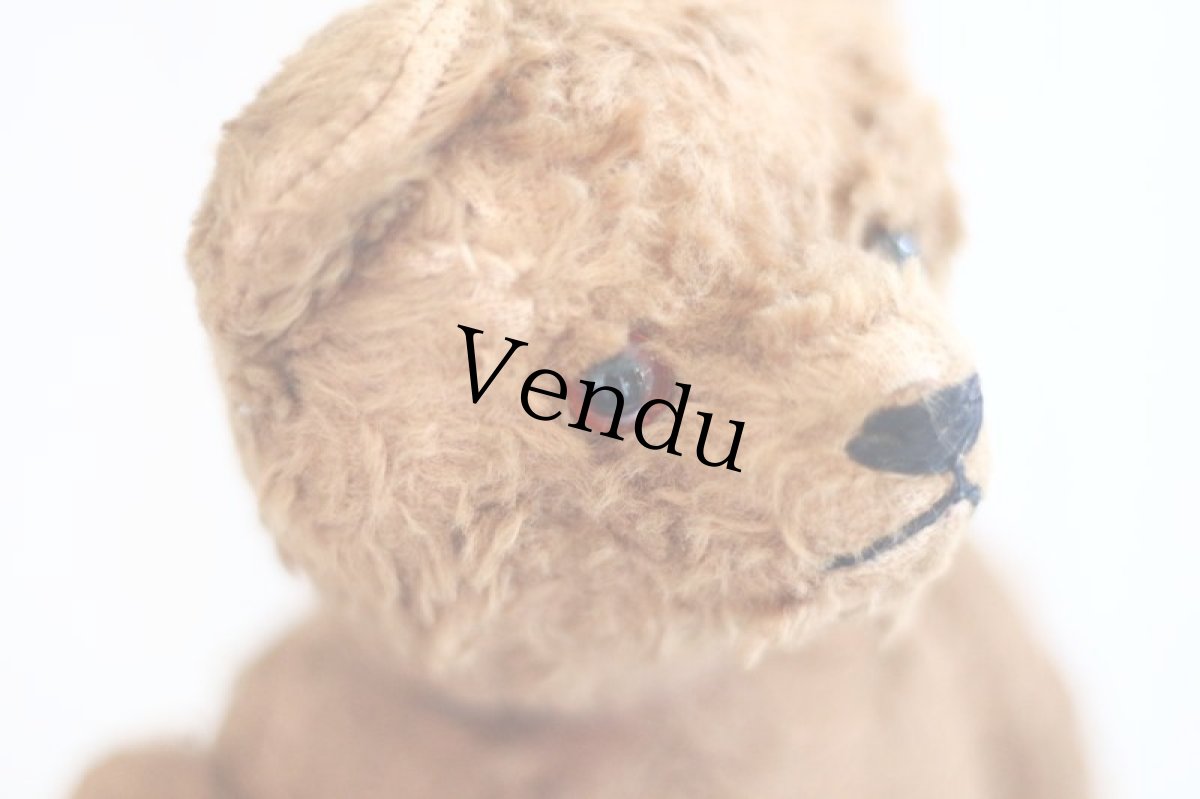 画像9: Petz Teddy Bear//Germany (9)