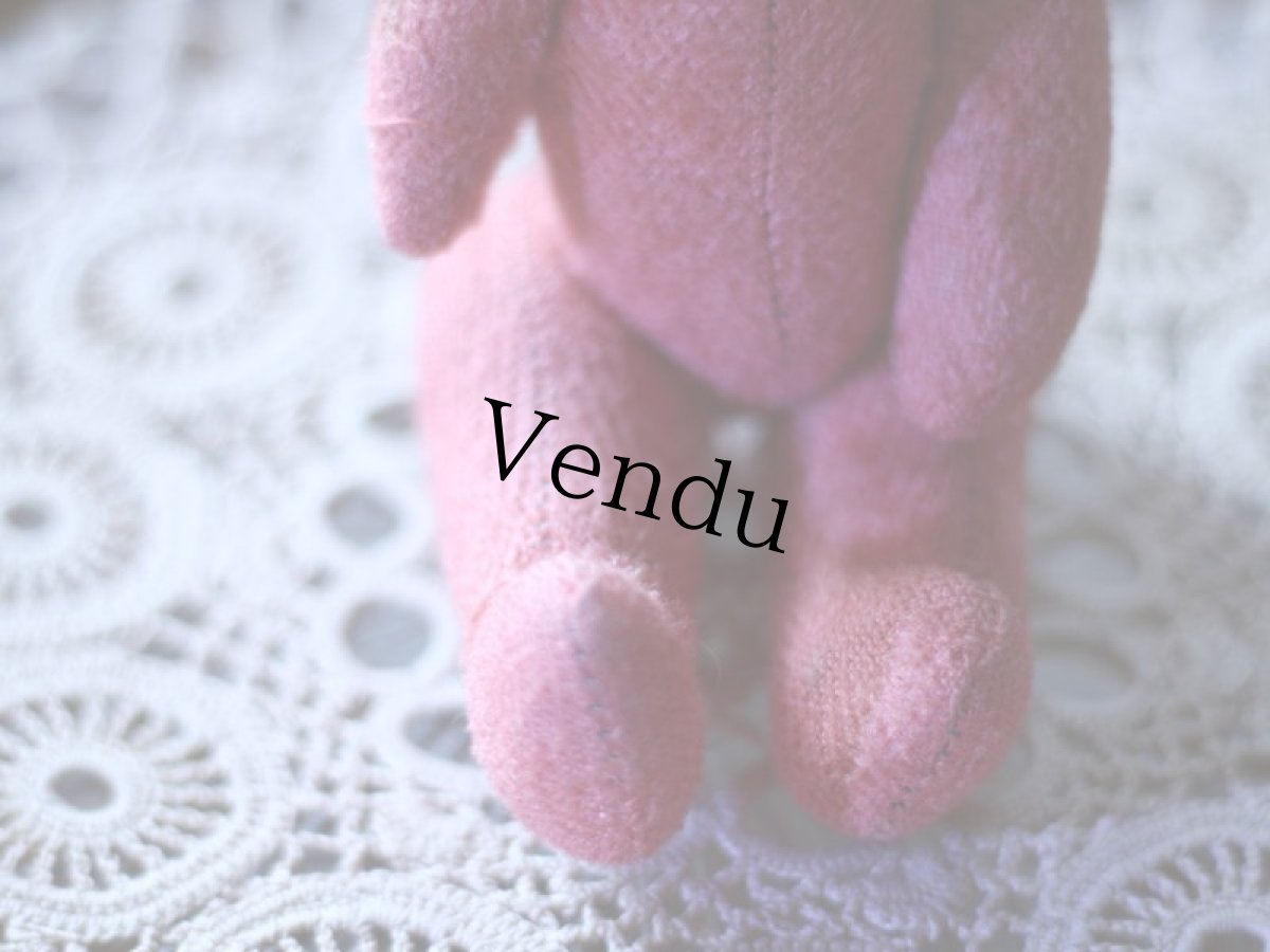 画像4: Pink Bear / France (4)