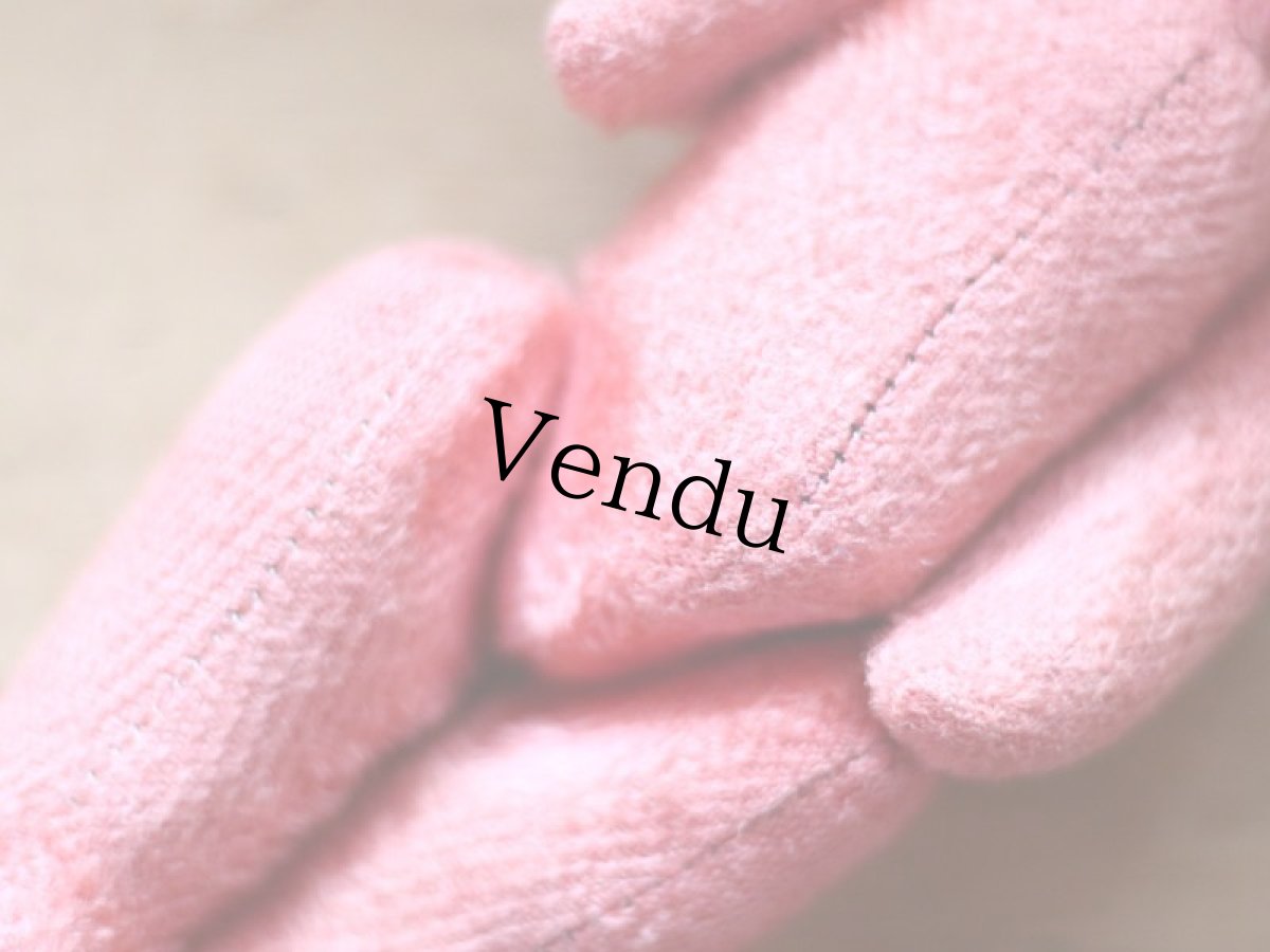 画像10: Pink Bear / France (10)