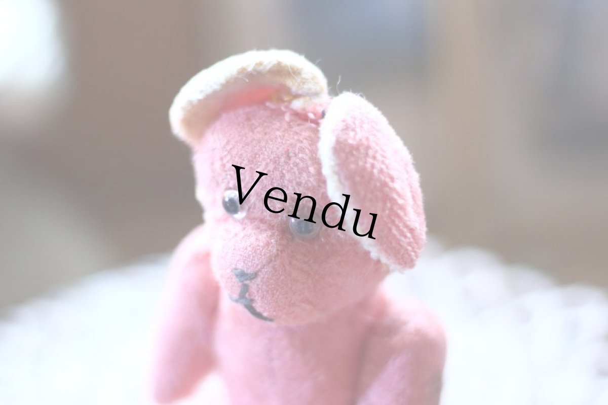 画像9: Pink Bear / France (9)