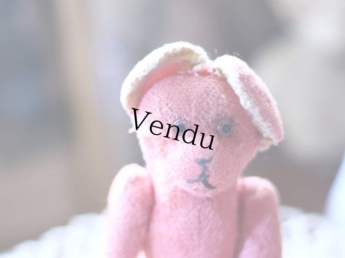 画像2: Pink Bear / France (2)