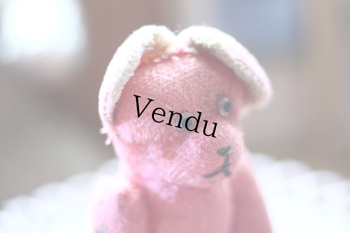 画像8: Pink Bear / France (8)