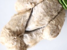 画像10: British Bear/Cream (10)