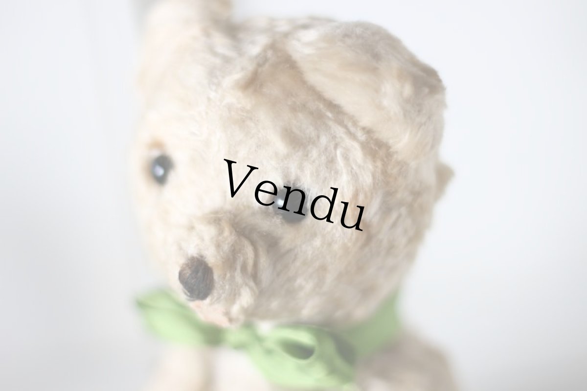 画像4: British Bear/Cream (4)