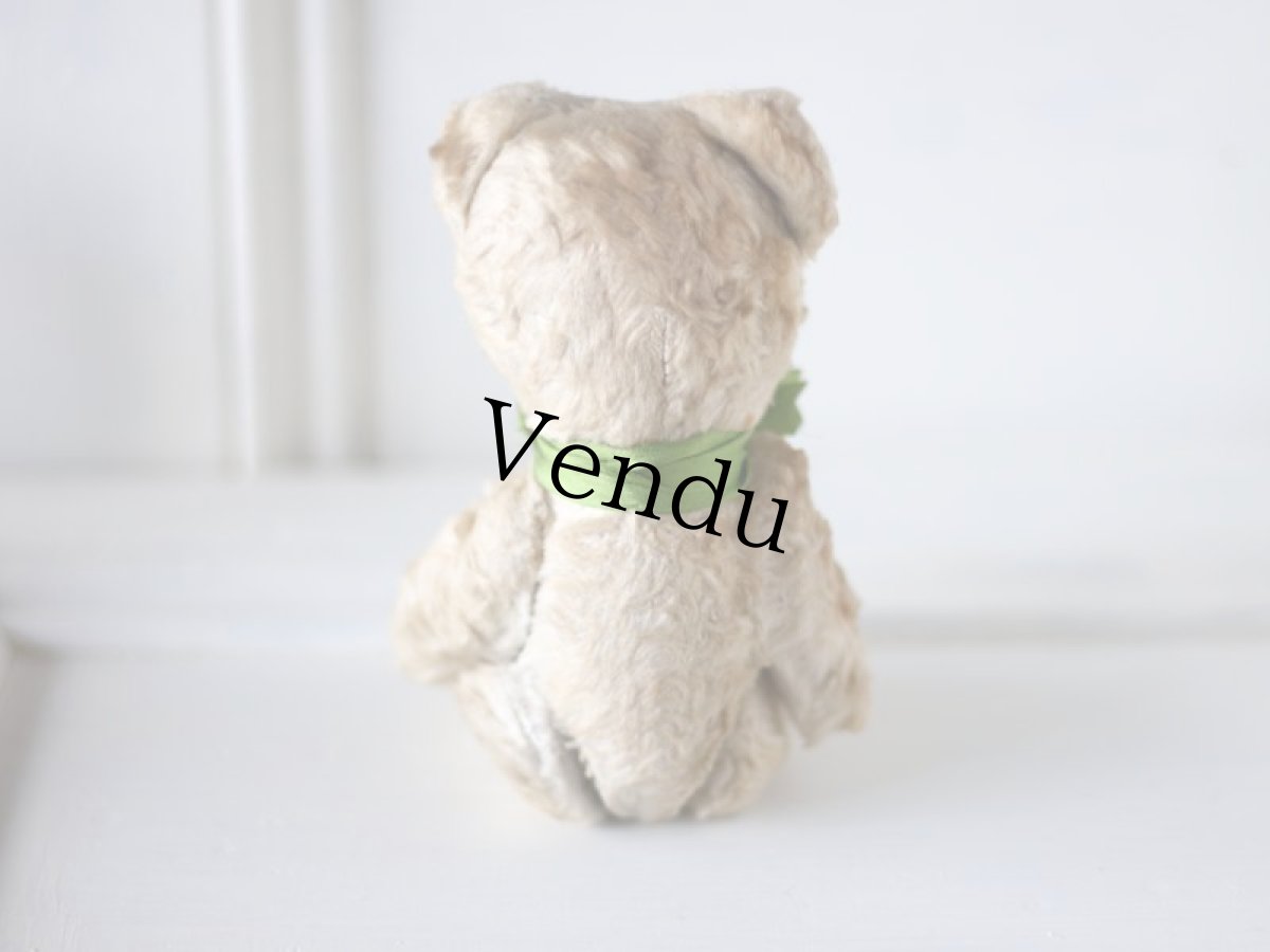 画像8: British Bear/Cream (8)