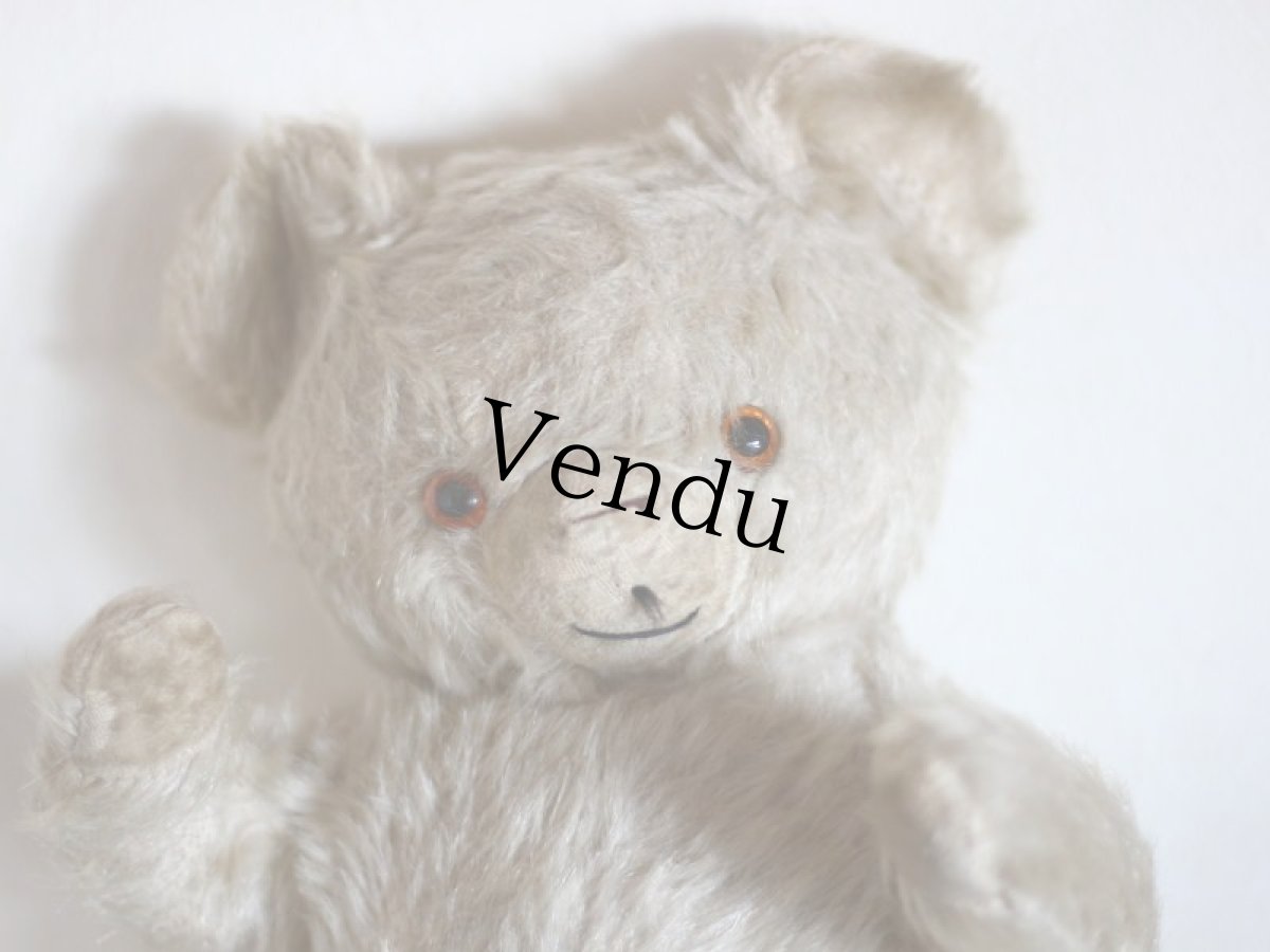 画像2: Antique Knickerbocker Teddy Kuddles /B (2)