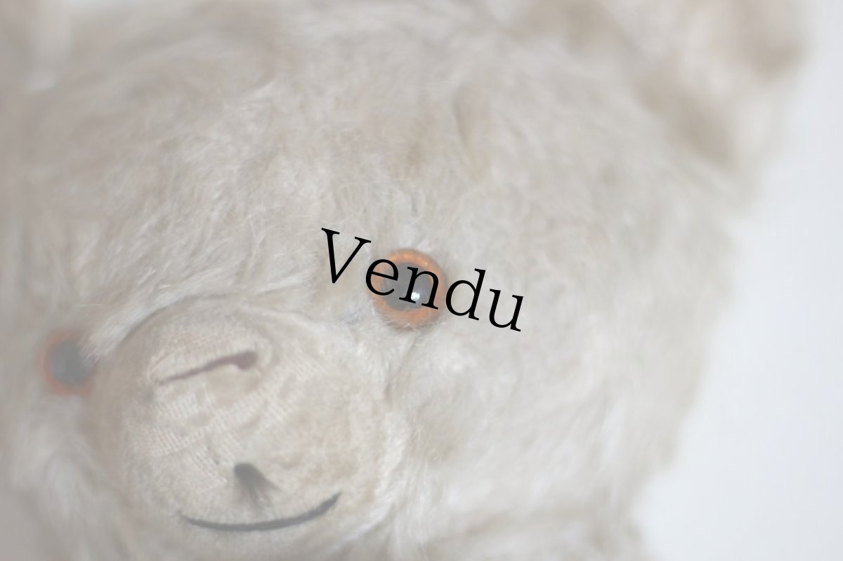 画像4: Antique Knickerbocker Teddy Kuddles /B (4)