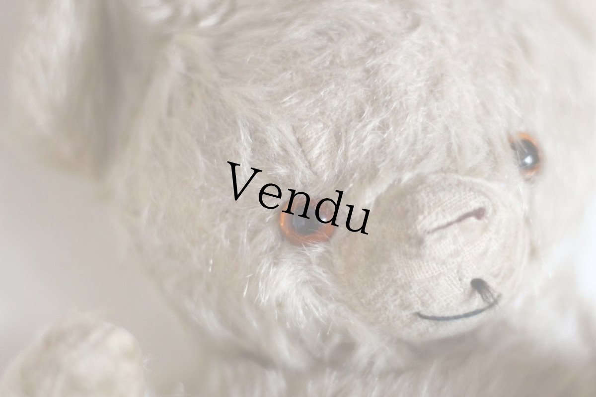 画像3: Antique Knickerbocker Teddy Kuddles /B (3)